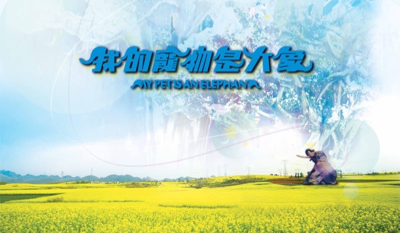 2017，銀都電影精彩紛呈